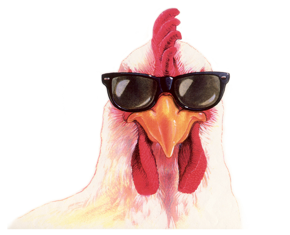 Chook Paintings
